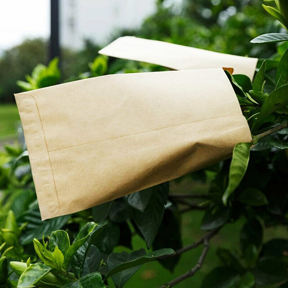 Kraft Paper Seed Packets Garden Home Storage Bags Mini Envelopes 6x11cm