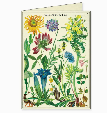 Cavallini Boxed Notecards - Wildflowers