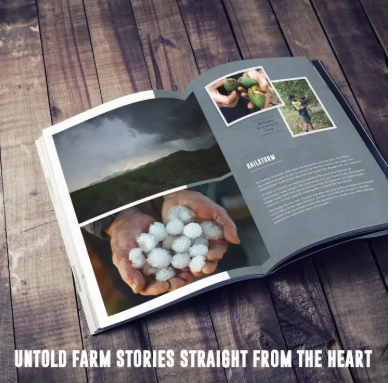 Story and Recipe Book There Is A Story Behind Every Meal