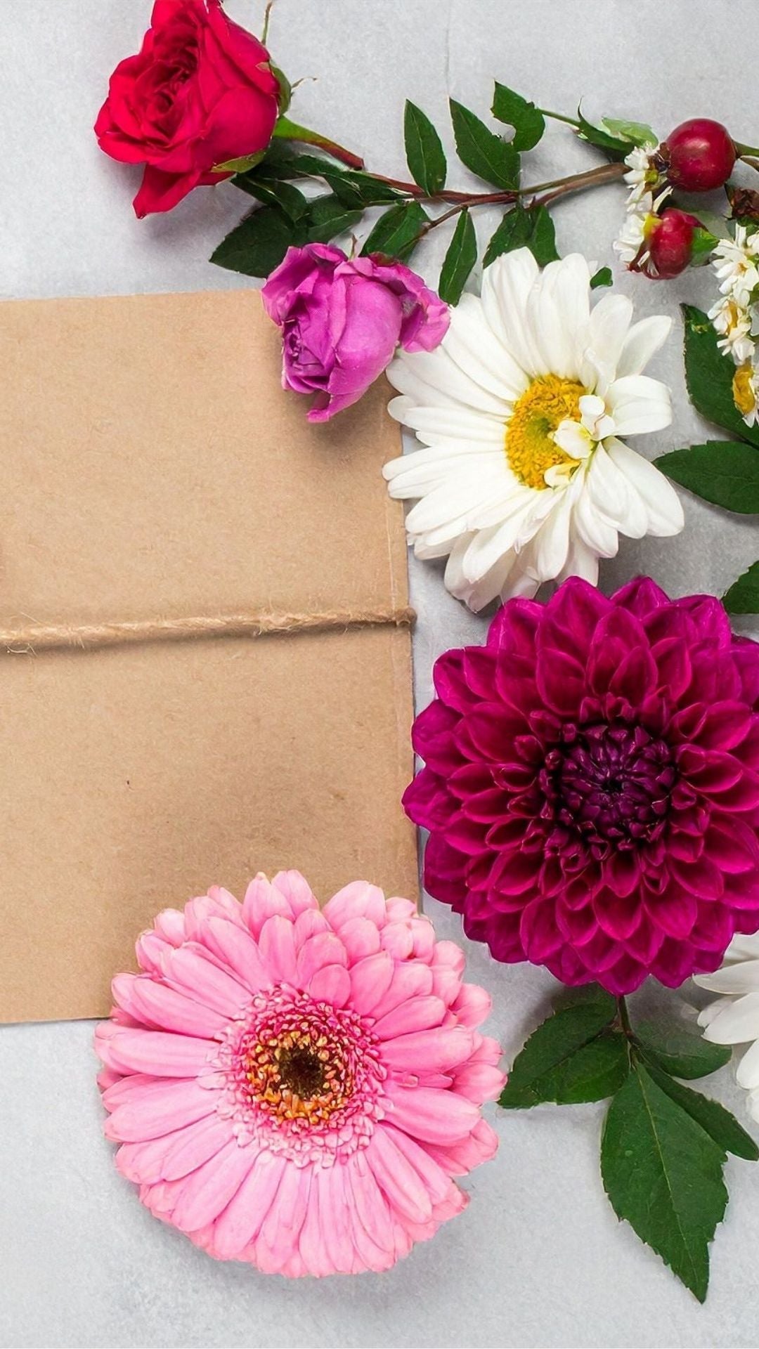 Letterbox Collection