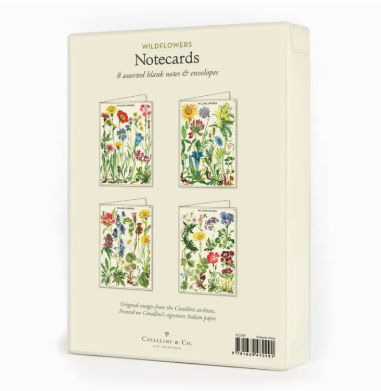 Cavallini Boxed Notecards - Wildflowers