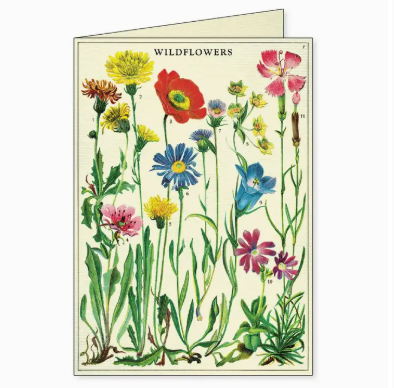 Cavallini Boxed Notecards - Wildflowers