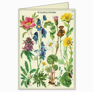 Cavallini Boxed Notecards - Wildflowers