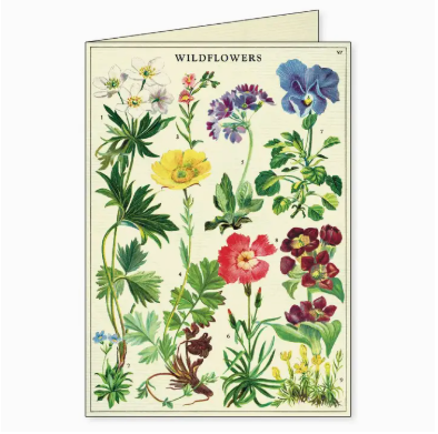 Cavallini Boxed Notecards - Wildflowers