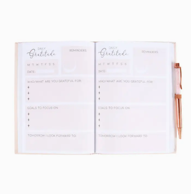 Gratitude Journal Notebook with Rose Quartz Crytal Chip Pen