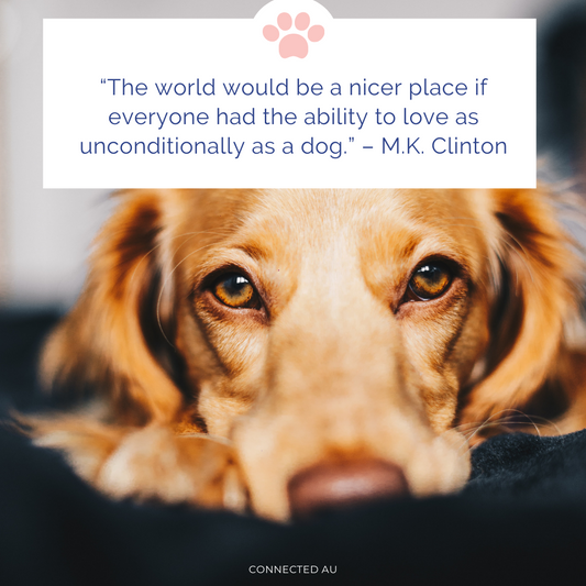 Sending Joy For 30 Days Dog Lovers Edition